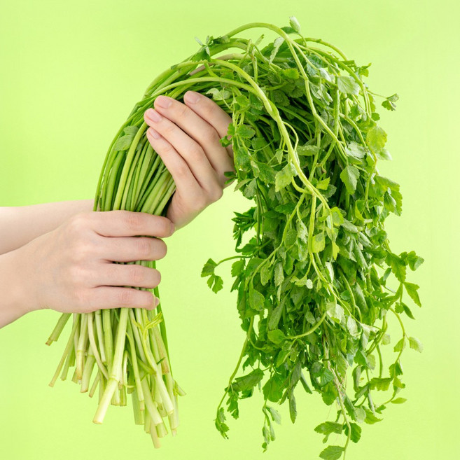 봄 제철 국산 아삭한 돌미나리 1kg 2kg 나물 무침, 1개