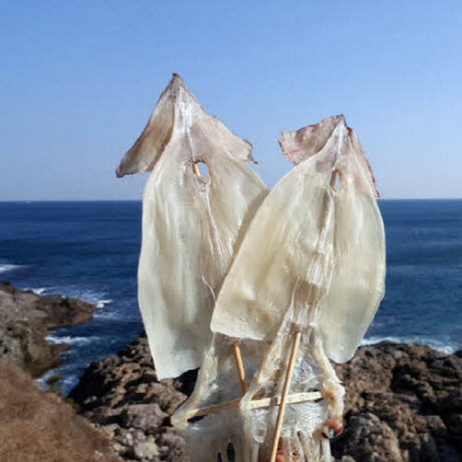 [가을바다] 부드러운 마른오징어 20마리, 1개, 800g