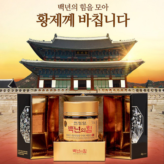 천종산삼 산삼분말 40g 오대산 산삼배양근 100년근 줄기세포 배양근 100% 분말, 1개