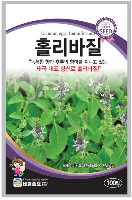 홀리바질 100립 / 허브 씨앗 종자 향신료 태국음식, 1개