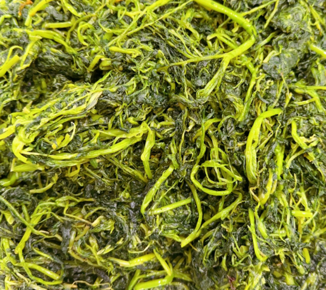 연변영채절임5키로, 5kg, 1개