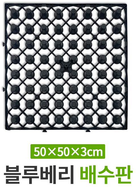 블루베리 과습의 필수품 배수판