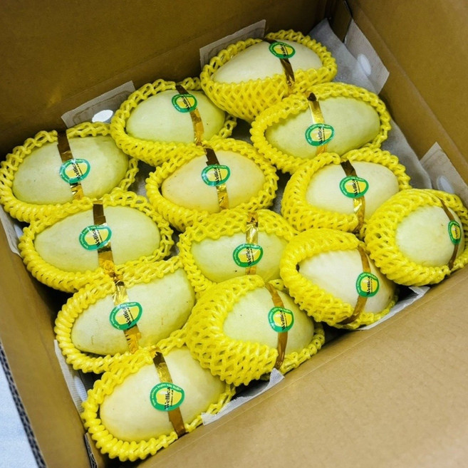 고당도 태국 베트남 무지개 골드망고 애플망고 그린망고, 1개, 그린망고 2kg 6-10미