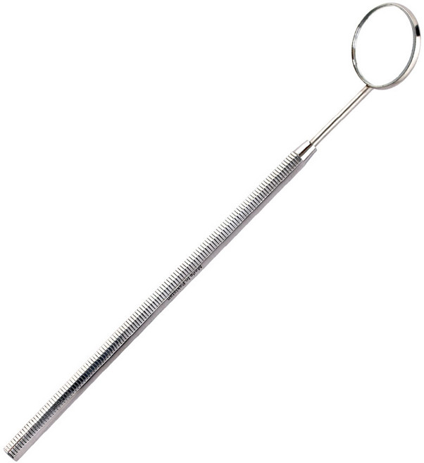 의료용 셀프 치석제거기 치경 치아관리 스케일링 치석제거, 01.치경, 1개