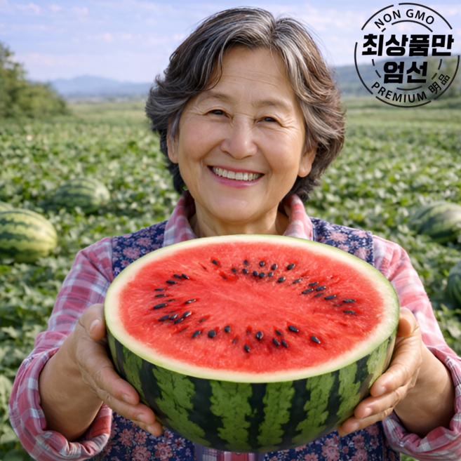 당도선별 고당도 하우스 꿀 수박, 1개, 3.5kg 내외