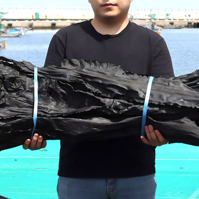 기장 해풍 자른 다시마 500g, 1개, 500g(1개)