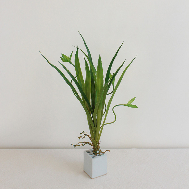 꽃난초 조화, 1개