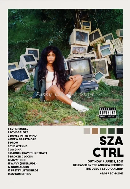 SZA 팝 가수 스타 초상화 음악 앨범 SOS 커버 포스터 및 인쇄 캔버스 벽 예술 그림 거실 장식 선물, 05 20X30cm Unframed, 14 15