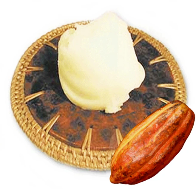 [GO5109천연화장품원료] 코코아 버터 50g - 쿠팡