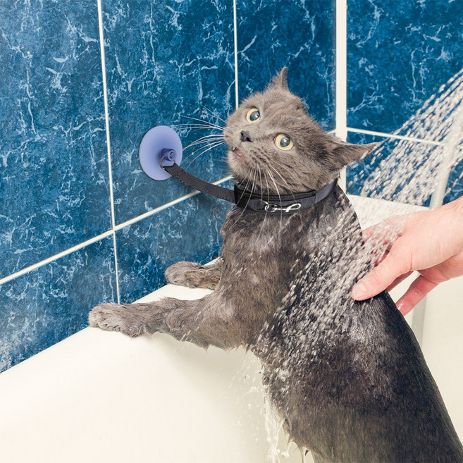 2P/3P 구성 강아지 목욕줄 고양이 리쉬줄 미용 목줄, 블랙, 1개