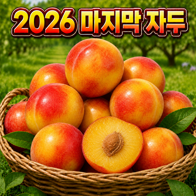3위 - [새콤달콤] 올해 마지막 자두 고당도 추희자두, 1박스, 1kg