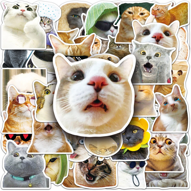 살랑소담점 감성 데코 귀여운 동물 고양이 스티커 100매 리무버블 방수 휴대폰 노트북 다꾸 캐리어 헬멧, 1개, 100p