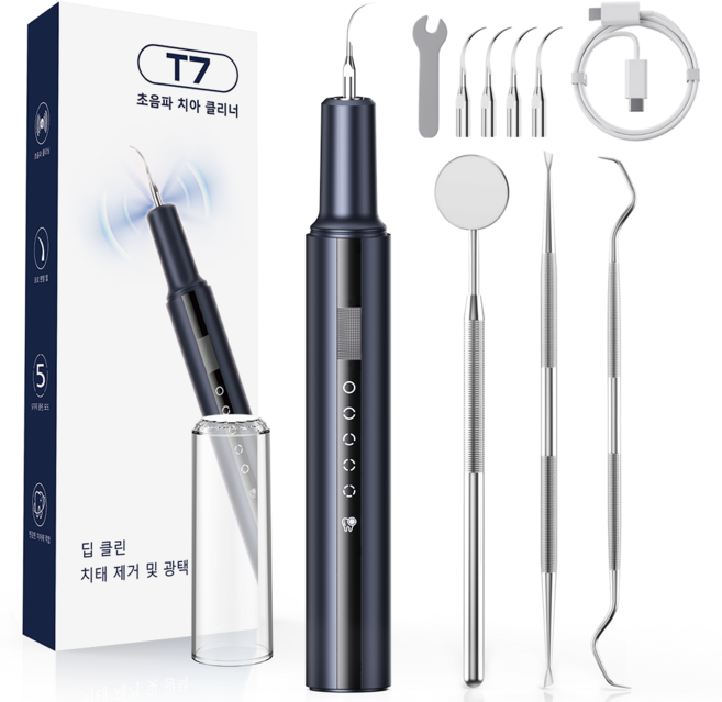 스마트 진동 구강 클리너 LED 라이트 휴대용 구강세정기, 블루