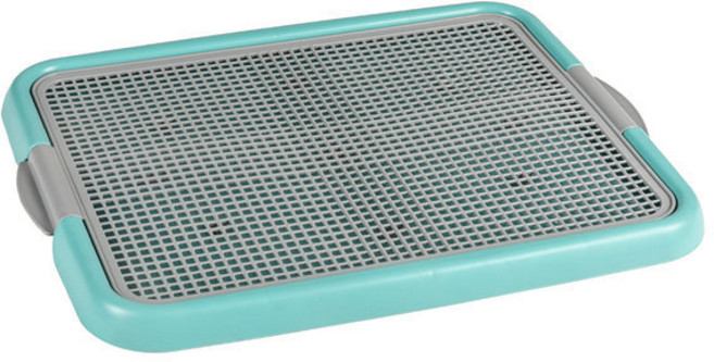 푸르미 강아지 그물망 토일렛 배변판, 민트, 1개