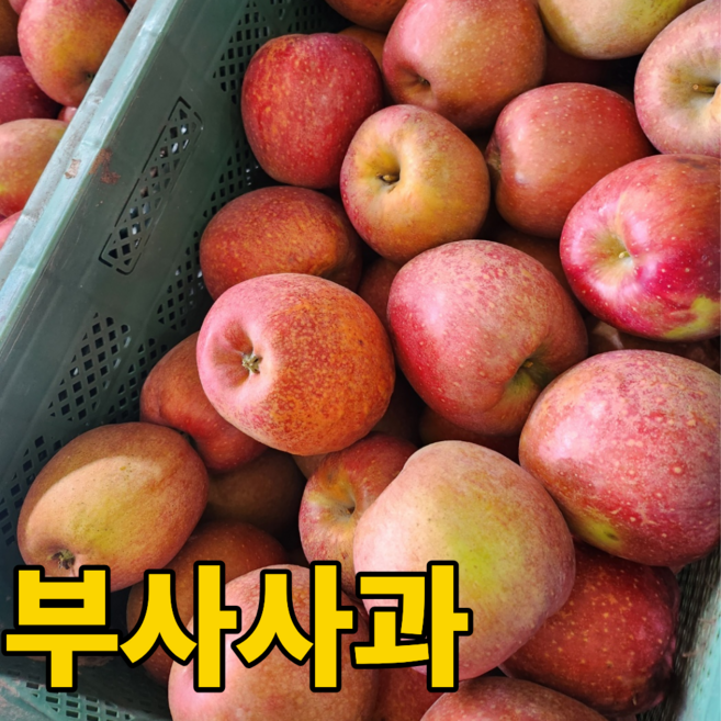 [핫딜전용] 문경 감홍사과 당도선별 가정용 못난이, 1박스, 5kg 소과(29-31과)