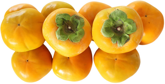 [산지직송]직접 재배하고 엄선한 정품 꿀단감, 1개, 5Kg26~30중과