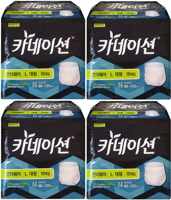 카네이션 언더웨어 팬티형, 대형, 10매, 4개