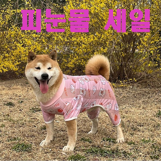 굿스펫 반려동물 중대형견 여름 티셔츠 진드기방지옷 해충 방지 바일러스 예방 대형견 실내복 망사옷 메쉬올인원 (땡처리), 핑크, 1개