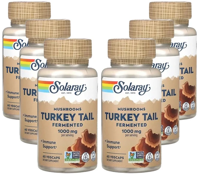 솔라레이 발효 칠면조꼬리버섯 1 000mg 60베지캡슐(캡슐당 500mg), 6개, 60정 - 쿠팡
