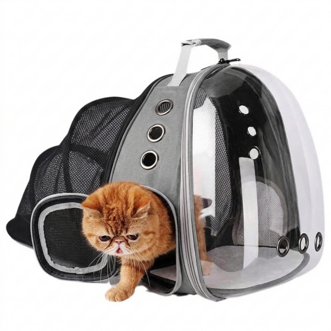 강아지 고양이 이동가방 투명 우주선 백팩 확장형 반려동물 외출가방 애견 이동장, 1개, 그레이