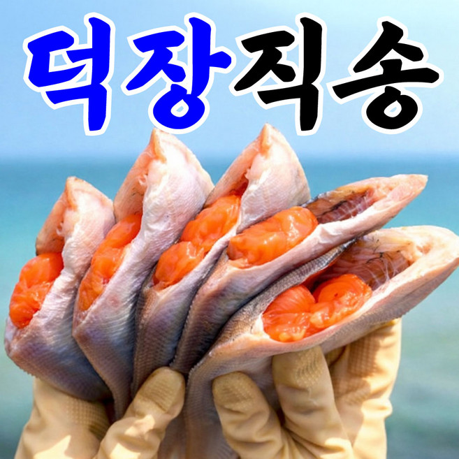 [동해덕장직송] 손질참가자미 알배기 반건조 가자미, 1개, 알배기 참가자미 1kg(8미)
