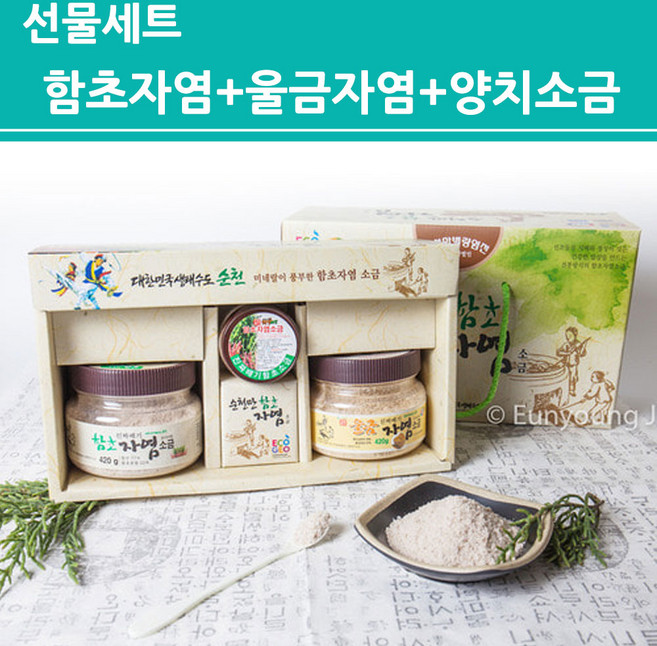 함초 울금 자염 솔트 치카치카 양치소금 순천만 미네랄 소금선물세트, 1개, 910g