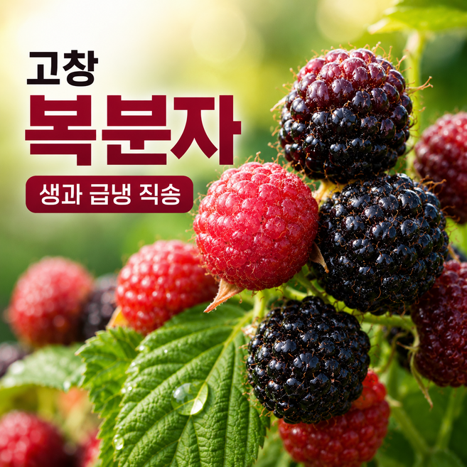 국내산 고창 토종 복분자 급속냉동 특품, 1박스, 5kg(특품)
