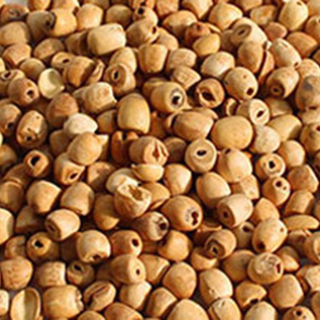 고소한 볶은 연자육 (속껍질제거) 거피 연꽃씨 100%, 1개, 150g