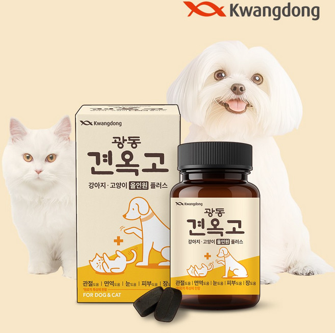 광동제약 견옥고 반려동물 관절 면역 눈 장건강 올인원플러스 영양제 80g, 1개, 종합영양제, 70정