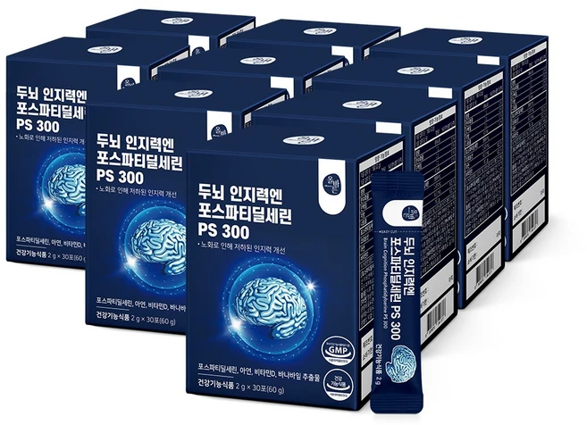 올바른 두뇌 인지력 개선 포스파티딜세린 분말 가루 식약처인증 PS 300 30포, 60g, 9박스 - 쿠팡