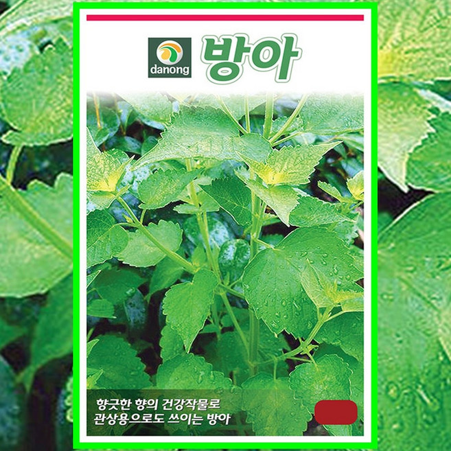 방아씨앗 1g 방아씨, 1개