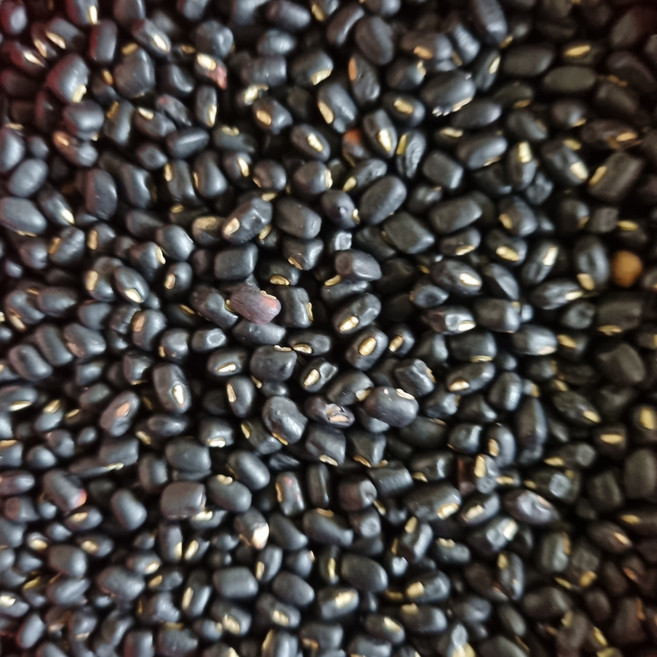 전남 곡성 산지직송 국산 야생팥 똘팥 국내산, 1박스, 2kg