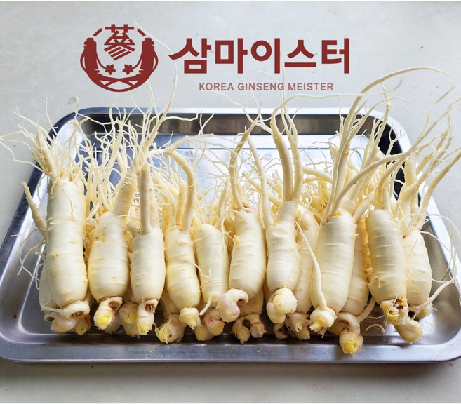 금산인삼장인 삼마이스터 세척인삼 업소용인삼 5년근 6년근 수삼 파삼 난발삼소 500g, 1.세척안함, 1세트