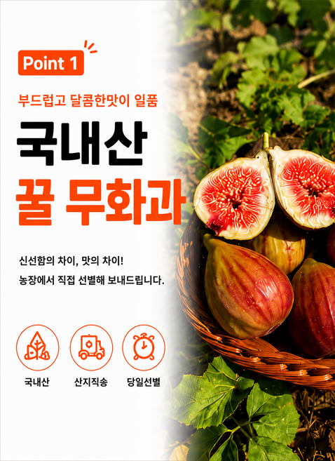 국내산 꿀 무화과 산지직송 생무화과 제철과일, 1박스, 2KG