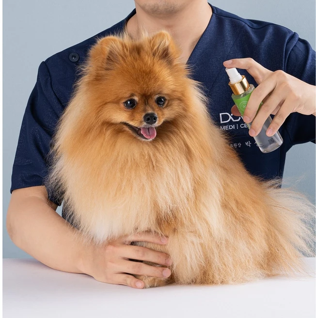 두카메디 셀케어 반려동물용 미스트, 100ml, 1개 - 쿠팡