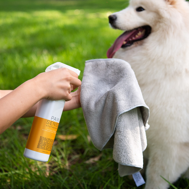 포우센스 워터리스 펫 샴푸 473ml 오트밀망고 스프레이형 물 없이 전신 목욕 미스트 강아지 고양이 샴푸, 1개