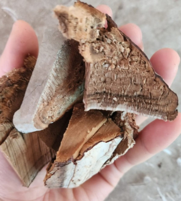 자연산 약용 말굽버섯 절편 500g 항암 효과! 건강한 말발굽 버섯, 1세트, 절편말굽버섯 500g