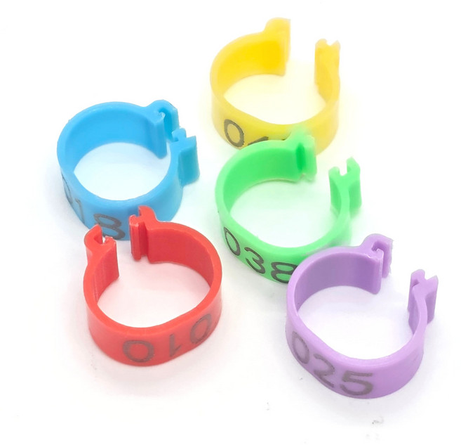 조류 넘버링 인식표 발목링 50개입 앵무새, 50개, 다양한색상