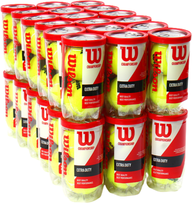 윌슨 챔피언쉽 테니스공 36캔 (캔당 볼2개 총 72구), 단품, 36개