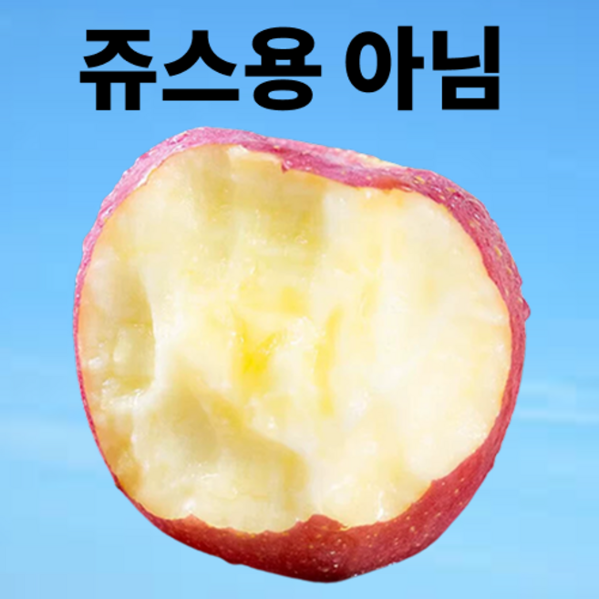 [고객감사특가] 마지막 200박스한정 청송 꿀사과, 1개, 10kg