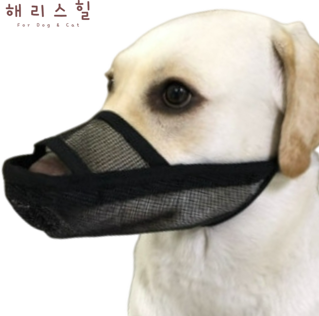 해리스힐 초경량 원버튼 메쉬 입마개 XL, 1개, 모던블랙