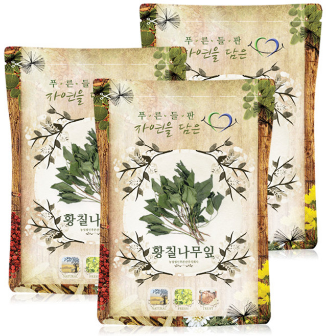 푸른들판 국산 건조 황칠 나무 잎 차, 3개, 100g