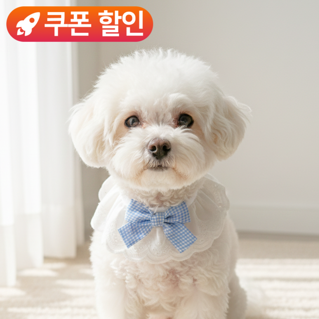 미유틱 강아지 목도리 케이프 고양이 스카프 망토 턱받이, 1개, 1. 레이스 블루