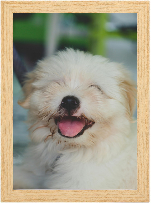 인테리어 액자 프레임 결혼식 인증서 자격증 사진액자 탁상용, 1개, 내추럴