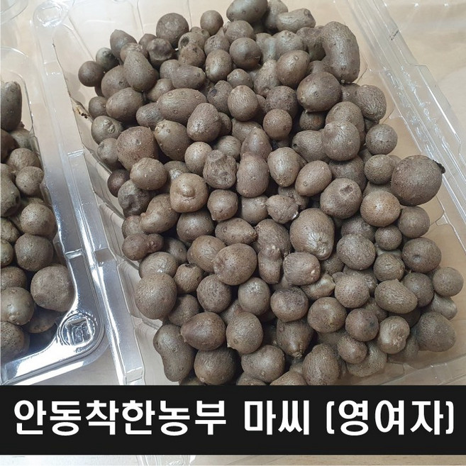 (햇참마씨앗) 안동참마 씨앗 영여자 2키로 (정직을 배달합니다), 1개, 마씨 2키로