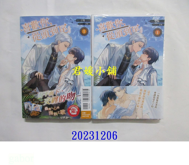東立小說 喜歡你，從頭到尾 1 (首刷附錄版) 子陽