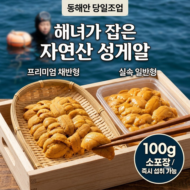[해녀채취] 동해 자연산 성게알 100g (프리미엄 채반형/일반형 선택), 1개, 일반형 100g