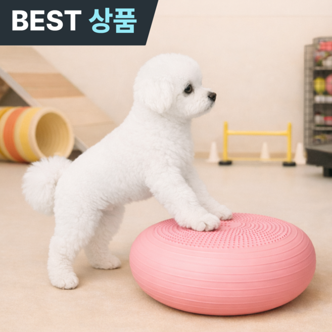 플러클 강아지짐볼 밸런스볼 도넛 슬개골탈구예방, 1개, 핑크
