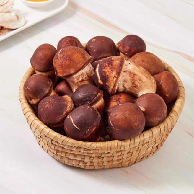 (농가직송) 생참송이 버섯 1kg 백향농장, 1개, 특등급500G