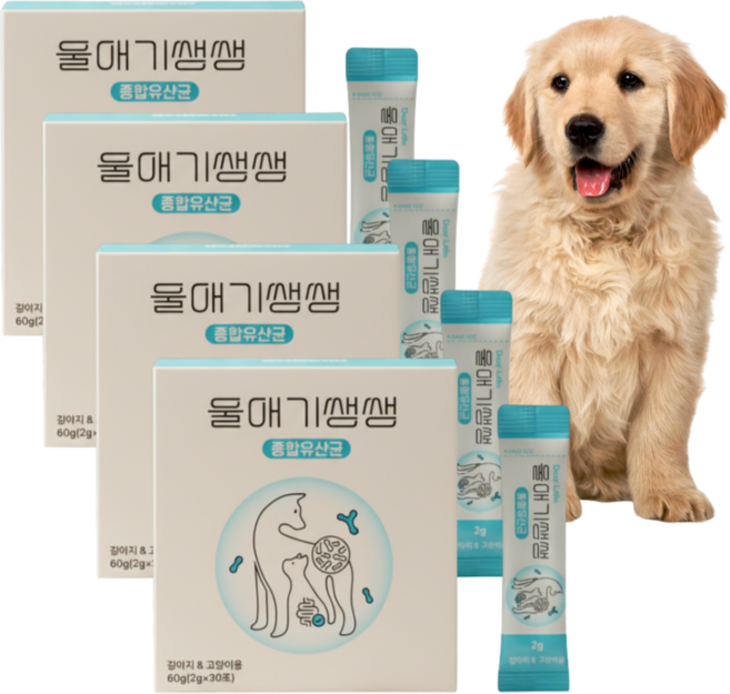 울애기쌩쌩 강아지 종합 유산균 프로바이오틱스 장 피부 면역력, 4개, 장건강/유산균